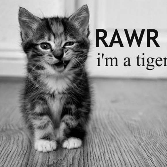 Meet your Posher, Joanie! - Picture 11 of 16